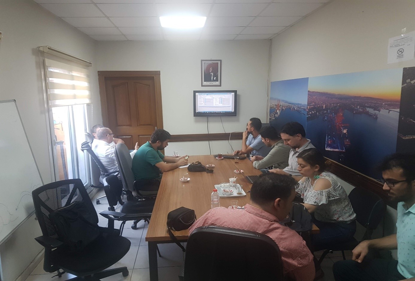 Inspections at Mersin Port: Operation of the Port Single Window System and Ship Control Operations